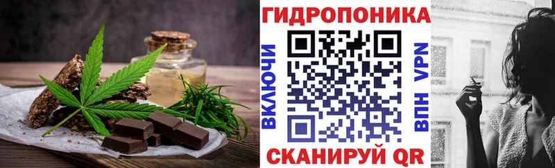 Canna-Cookies конопля Ессентукская