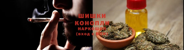 соль ск Горно-Алтайск