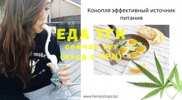 спайс Горняк
