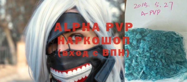 соль ск Горно-Алтайск
