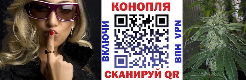 Канабис конопля  Ессентукская 